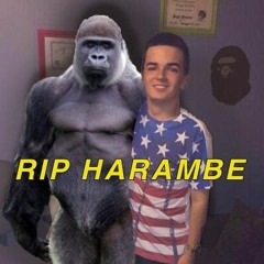 R.I.P. Harambe