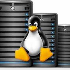 Is Linux VPS Hosting Right For You?