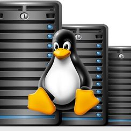 Is Linux VPS Hosting Right For You?