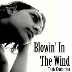 Blowin'in the wind