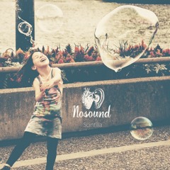Sogno e Incendio (second single from Scintilla)