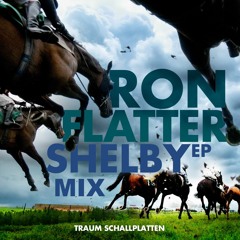 Ron Flatter - Traum Shelby Mix