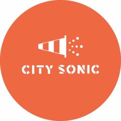 Selection for City Sonic Festival 2016