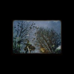 Hum: Water Lace - April 2006