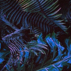 ASH - Just Be Calm