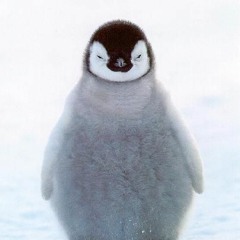 Penguinz