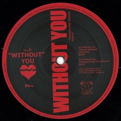 A2 - Marcelo Bertinetti - Without You (Cotterell's Feel The Vybe Mix) Preview
