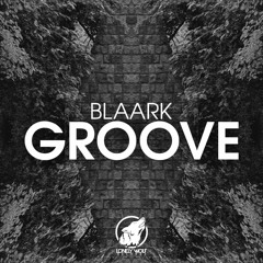Blaark - Groove (Original Mix) **SUPPORT BY MOE ALY, DUUMIX, B3RROR, ALAN KREVO**