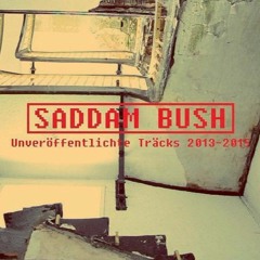 saddam - horrorpimps 2015