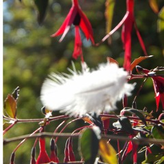 Endless Winding Path