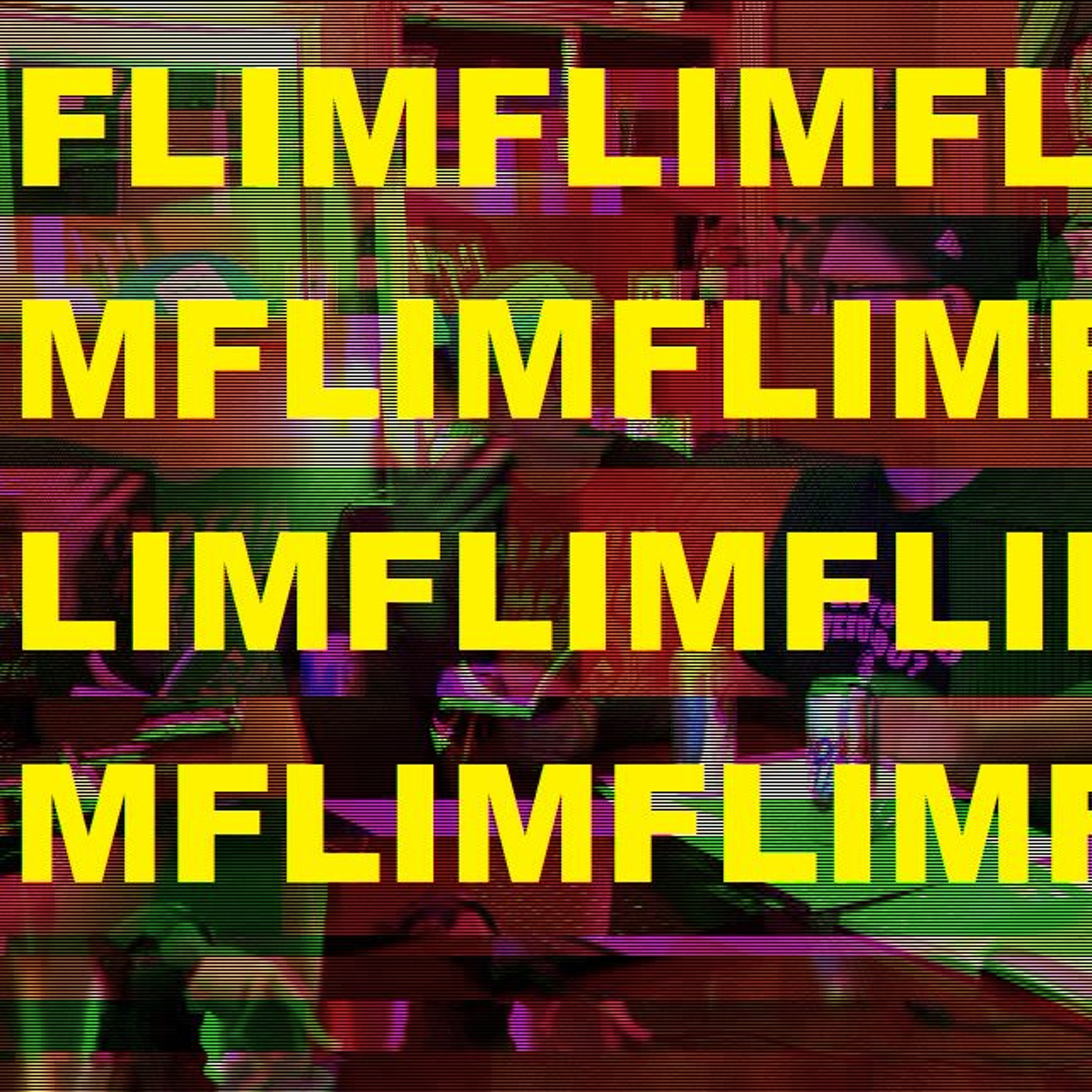 The First Annual FLIMposium