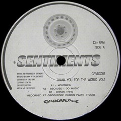 B1 Sentiments - Drivin Thru [GRVDG002]