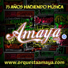 ME DEJASTE SIN NADA (EN VIVO) - AMAYA HNOS.