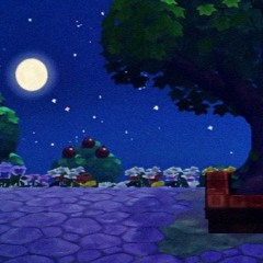 たぬきち nook at nite たぬきち