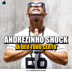 Andrezinho Shock - Ja Deu Tudo Certo [ DJ Bruno Da Serra ]