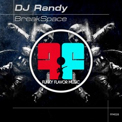 BreakSpace - DJ Randy (Original Mix)Out Soon!!!  Funky Flavor Music