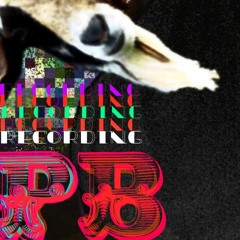 BUT DIDNT FEAL IT THO ! Nottz The Cycle remix.  #Pilzburyondamic W.C.P.B