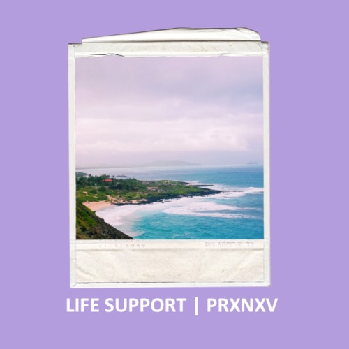 Life Support (prod. FRYTHM)