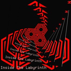 Vladimir Z - Inside The Labyrinth (Remixed by Controlled Madness Records 95 Bpm)