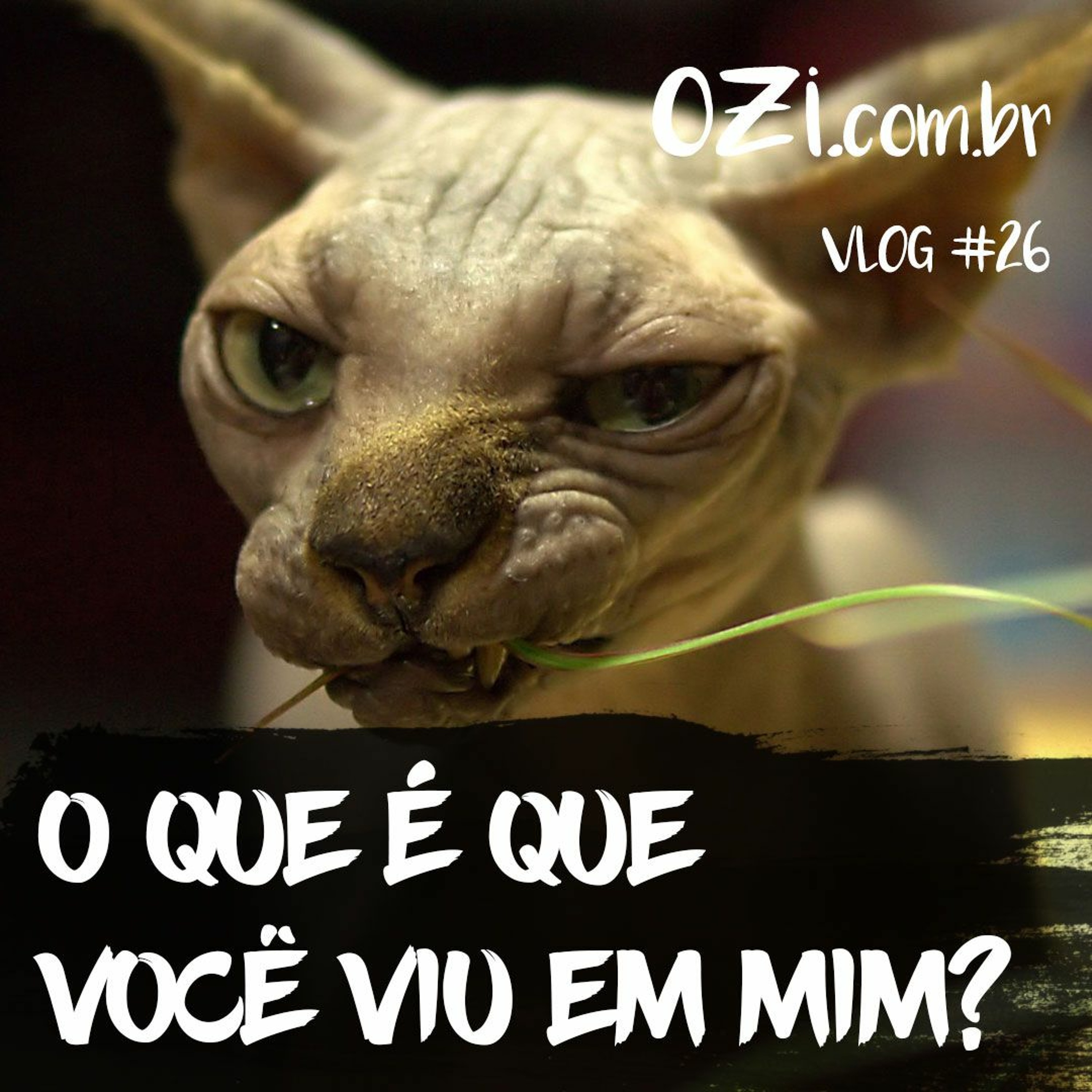 OZI Vlog