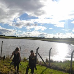 VIBE POSITIVA - PREDOMINAS