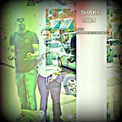 Loso x TrapHouseTerrance - Shake Sum Remix