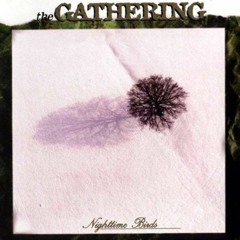 The Gathering - Kevin's Telescope
