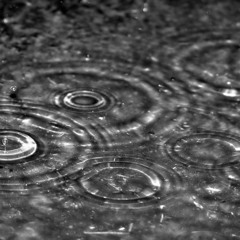 Raindrops