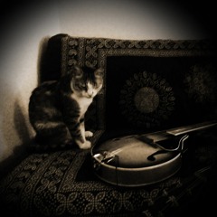 Warning, contains mandolin!