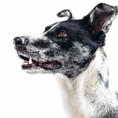 Suburbia - Pet Shop Boys ( Nauru Remix )