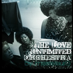 the love unlimited orchestra