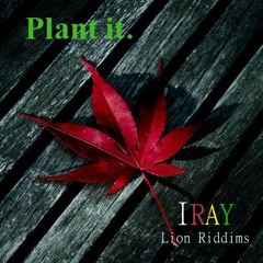 Plant It (warrior riddim)