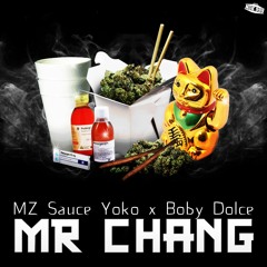 Mozart South - Mr Chang