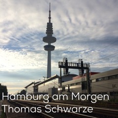 Thomas Schwarze - Hamburg am Morgen