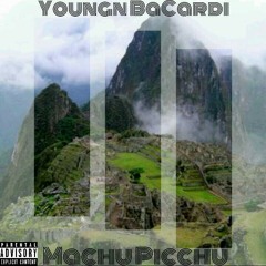 Machu Picchu (Money & Power)