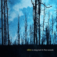 A Dog Lost In The Woods 2009