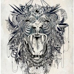 Hi Profile - HARMONY - DérYmor - edit