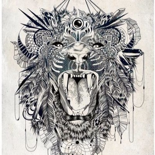 Hi Profile - HARMONY - DérYmor - edit