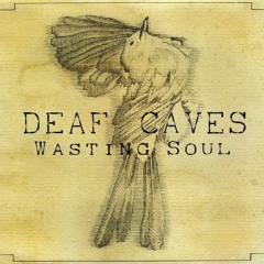 Wasting Soul
