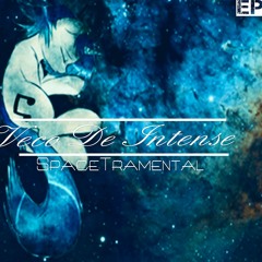 SPACETRAMENTAL