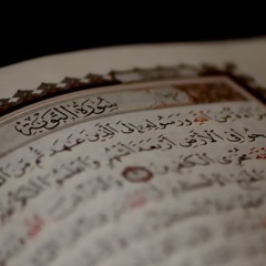 يُرِيدُونَ أَنْ يُطْفِئُوا نُورَ اللَّهِ بِأَفْوَاهِهِمْ - ناصر القطامي - سورة التوبة