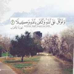 رعد الكردي - سورة الملك صلاة القيام رمضان 1437 هـ