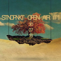 STNDPNKT #1 preview