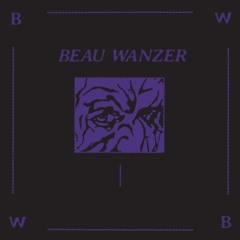 Beau Wanzer - Shitty Cough 14