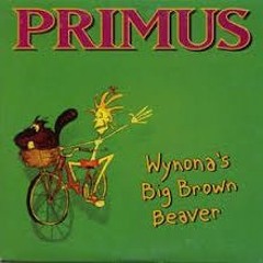 Primus - Wynonas Big Brown Beaver (Cover) Michael Rydzinski