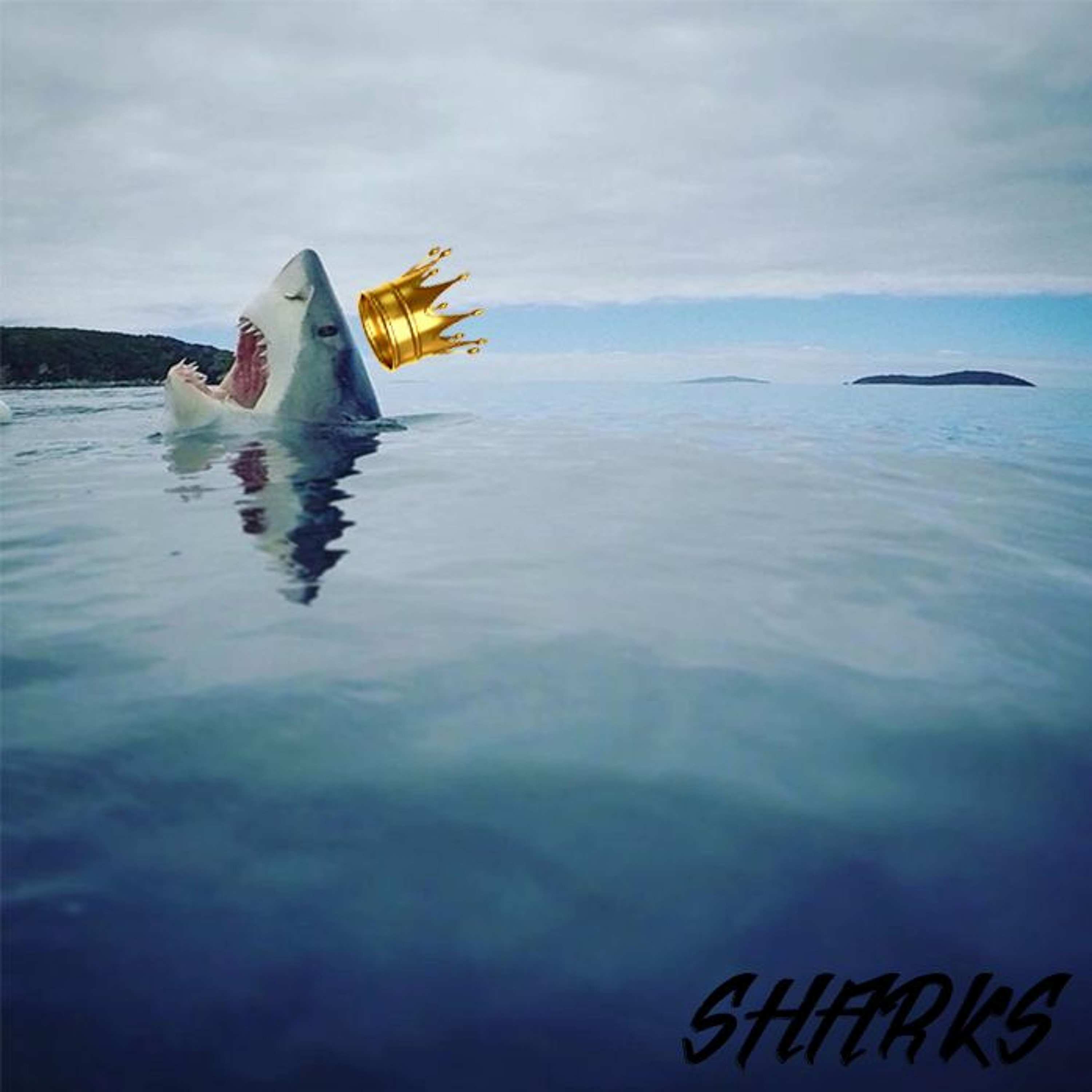 SHARKS episode artwork