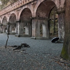 Plasma Rüby - Au Revoir Brisë [A rework of 'Only The Winds', from For Now I Am Winter by Ó. Arnalds]