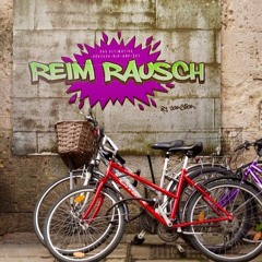 Reim Rausch Best of German Hip Hop