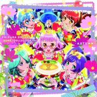 ぷりっとぱ ふぇくと More Pritto Fect Mix By Hina Hikawa ぷりっとぱ ふぇくと More Pritto Fect Mix By Hina Hikawa