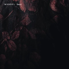 WANGEL - SEOUL (TIDEWARP REMIX)